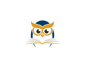 セカンドオピニオンを提供する人のイメージ（フクロウ）